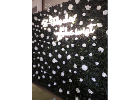 Ścianka zielona do własnej aranżacji